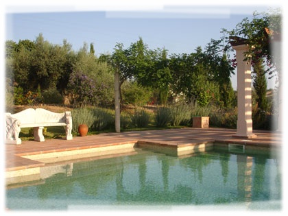 Cortijo Rosa - Large swimming pool