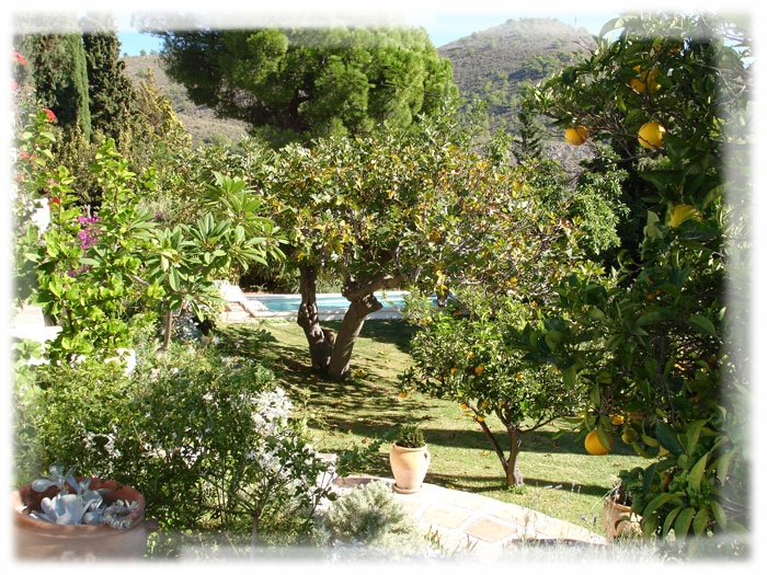El Huerto - Beautiful garden - Molineta