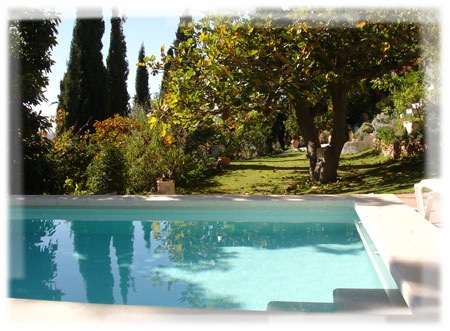 Pool and garden - El Huerto, Molineta